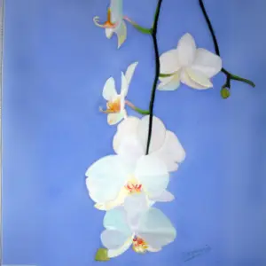 ORCHIDEE Peinture Orchidée - Tableau floral élégant - Stemm'Artkin