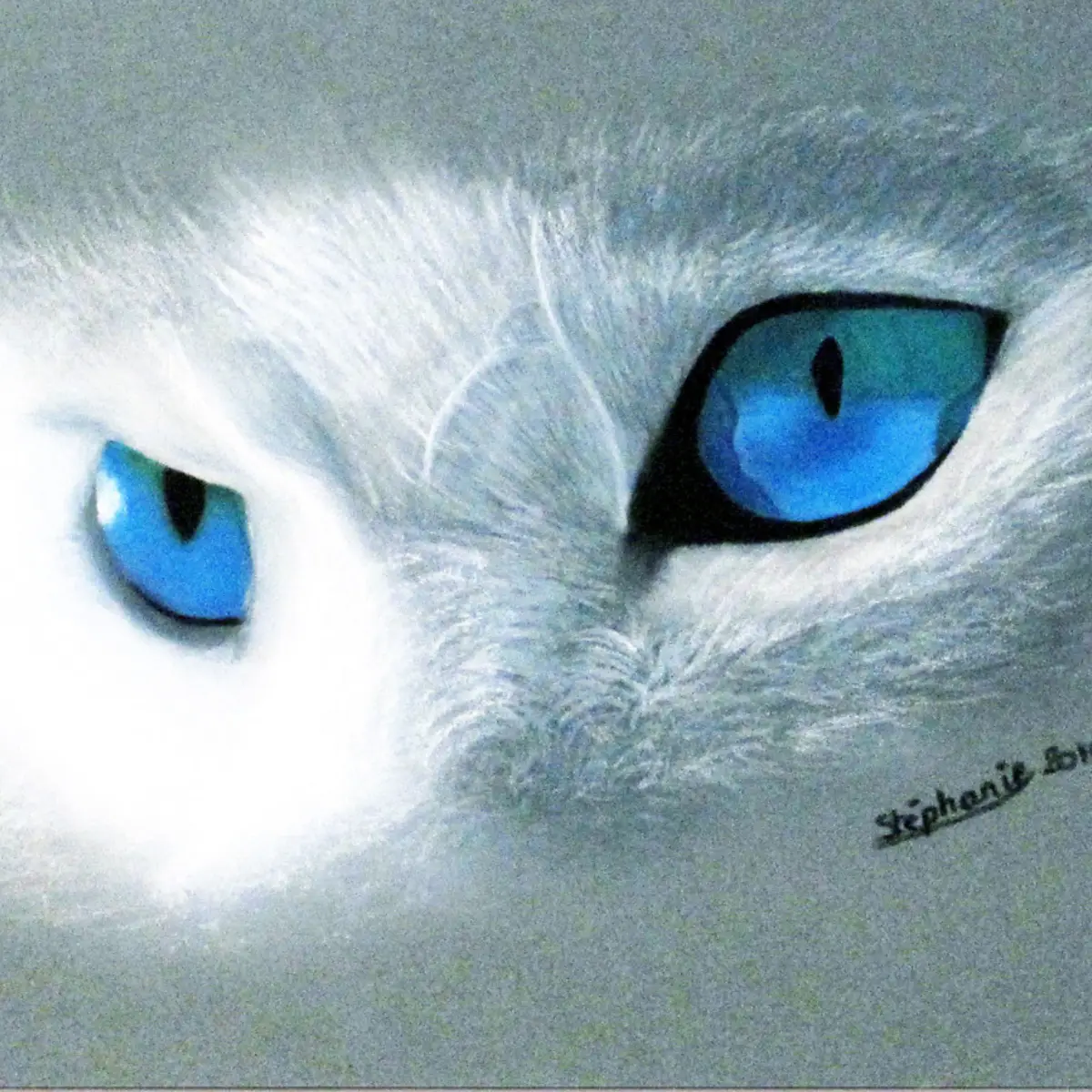 Peinture Vision Sauvage - Portrait félin au pastel à l’huile